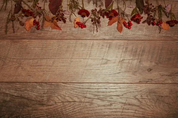 Arreglo otoñal de hojas coloridas, bellota, fruta de castaño sobre un fondo de madera con espacio libre para el texto. Vista superior, concepto de temporada, efecto retro tonificado — Foto de Stock