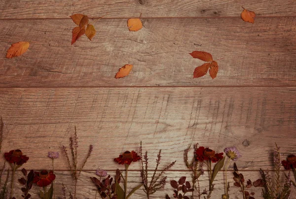 Układ jesienią kolorowe liście, Żołądź, owoc kasztanowca na podłoże drewniane z wolnego miejsca dla tekstu. Widok z góry, koncepcja sezon, stonowanych efekt retro — Zdjęcie stockowe