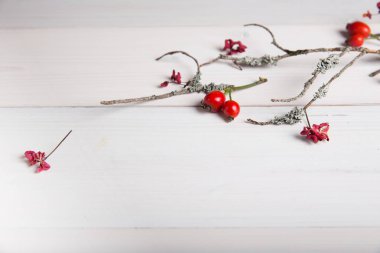 Noel, yeni yıl veya sonbahar arka plan, Noel doğal süs eşyaları ve çam dalları, çilek, rose hips ve kış dalları düz yatıyordu kompozisyon moss, metin tebrik için boş alanı ile kaplı