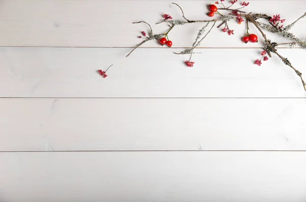 Navidad, Año Nuevo u Otoño fondo, composición laica plana de adornos naturales de Navidad y ramas de abeto, bayas, rosa mosqueta y ramas de invierno cubiertas de musgo, espacio vacío para el texto de saludo — Foto de Stock