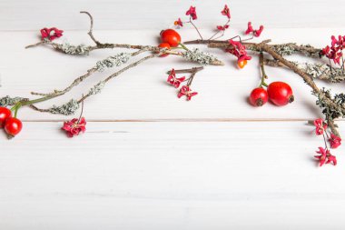 Noel, yeni yıl veya sonbahar arka plan, Noel doğal süs eşyaları ve çam dalları, çilek, rose hips ve kış dalları düz yatıyordu kompozisyon moss, metin tebrik için boş alanı ile kaplı