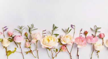 Beyaz ahşap arka planda şenlikli çiçek kompozisyonu. Genel Görünüm