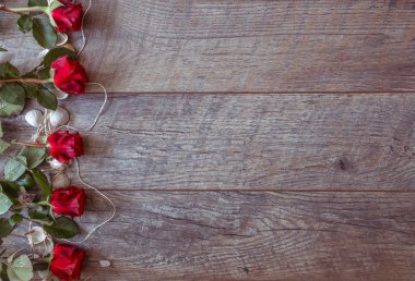 Kırmızı gül ve kabukları ile Sevgililer günü arka plan. Düğün arka plan. Üstten Görünüm, kopya alanı.