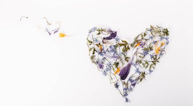 Çiçek kompozisyon. Beyaz zemin üzerinde bir kalp şeklinde kurutulmuş çiçek çerçeve yaptı. Düz yatıyordu, en iyi görünüm. Uzay kopyalayın. Doğum günü, anne, Sevgililer, kadın, düğün günü kavramı.