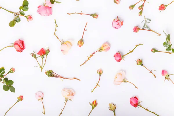 Composición de flores. Espacio de trabajo con flores de rosas,. Vista superior, plano . — Foto de Stock