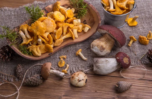 Setas Frescas Silvestres Una Mesa Madera Rústica Chanterelles Boletus Russula — Foto de Stock