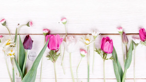 Kytice první jarní květy, růžové, fialové tulipány, narcisy a sedmikrásky na bílém pozadí dřevěná. — Stock fotografie