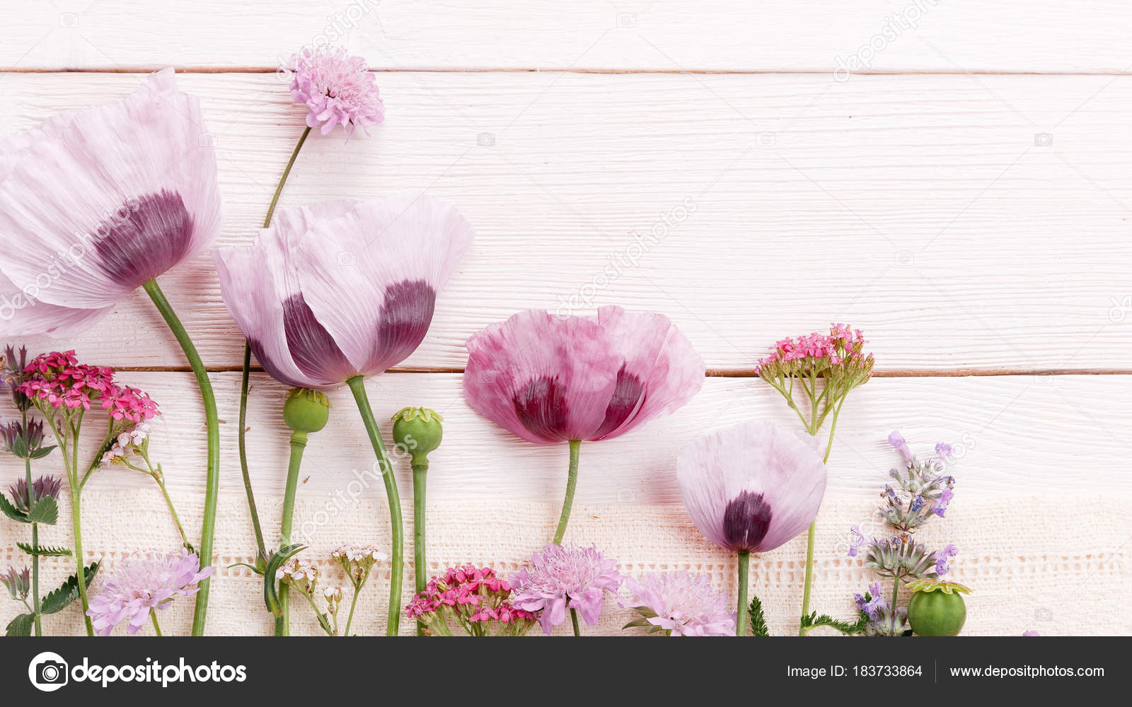 Fleurs De Champ De Couleur Rose Coquelicots Achillee Scabiosa Composition Festive Sur Planche De Bois Bureau Vue Aerienne Plat Espace De Copie Anniversaire Anniversaire Fete Des Meres Saint Valentin Femmes Mariage Image