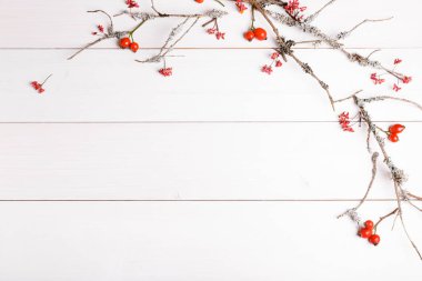 Noel, yeni yıl veya sonbahar arka plan, Noel doğal süs eşyaları ve çam dalları, çilek, rose hips ve kış dalları düz yatıyordu kompozisyon moss, metin tebrik için boş alanı ile kaplı,