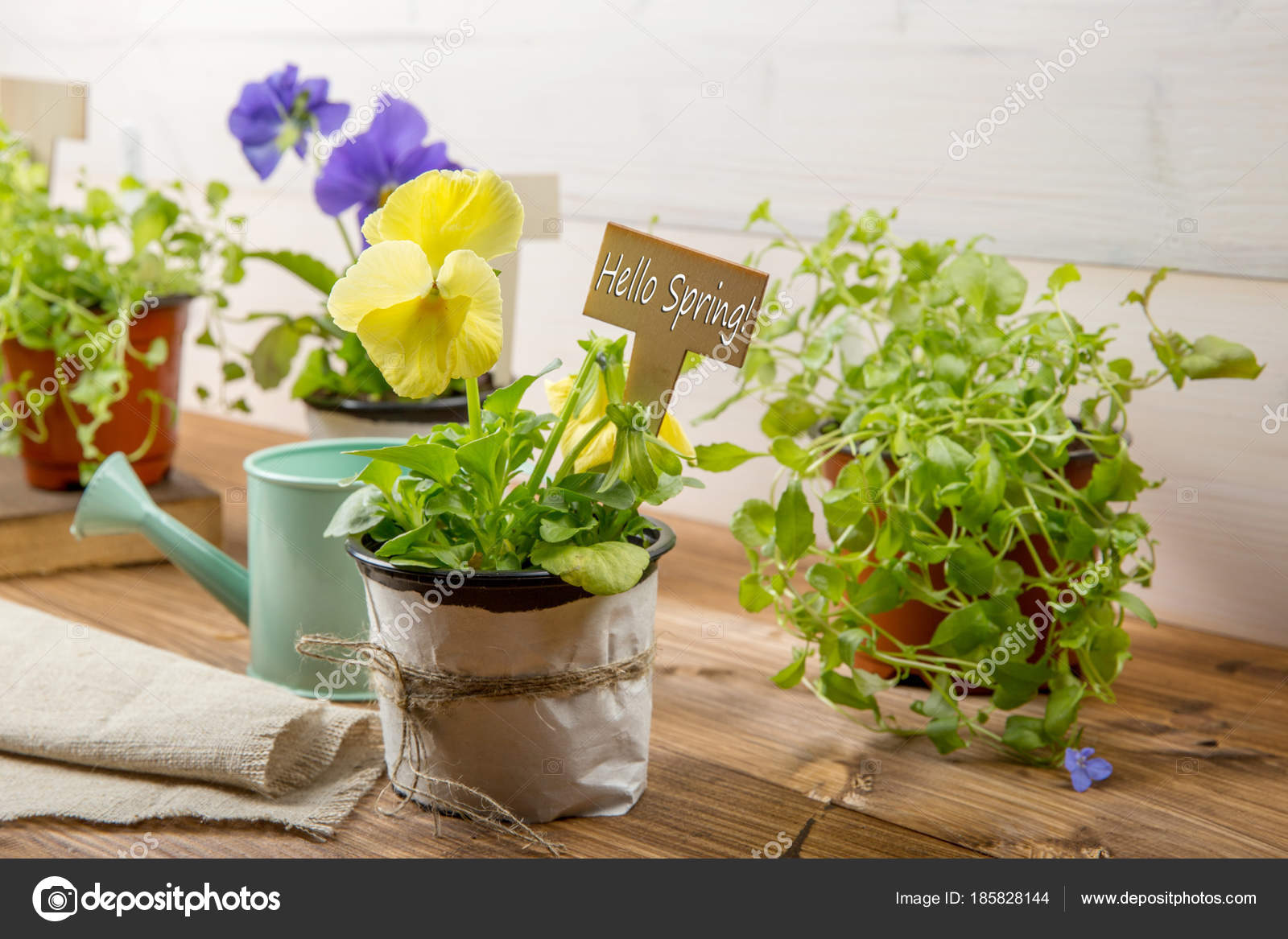 Gardening Tools Watering Can Seeds Plants And Soil On Vintage Gardening Tools Watering Can Seeds Plants And Soil On Vintage Wooden Table