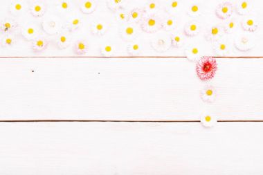 Kompozisyon, çerçeve papatya beyaz ahşap kurullarında. El yapımı ahşap masa arka plan üzerinde küçük çiçekler. Zemin kopya alanı, düz yatıyordu, en iyi görünümü ile.