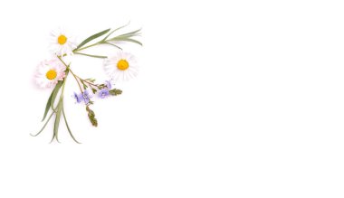 Kompozisyon, beyaz çerçeve papatya. Zemin kopya alanı, düz yatıyordu, en iyi görünümü ile. Anne, Sevgililer, kadın, düğün günü kavramı.