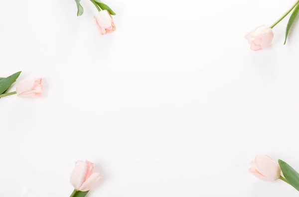 Flowers composition. Frame made of pink flowers on white background. Valentine's Day. Flat lay, top view. — Stock Photo, Image