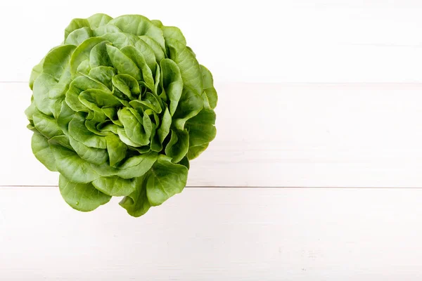 Три види салату — стокове фото