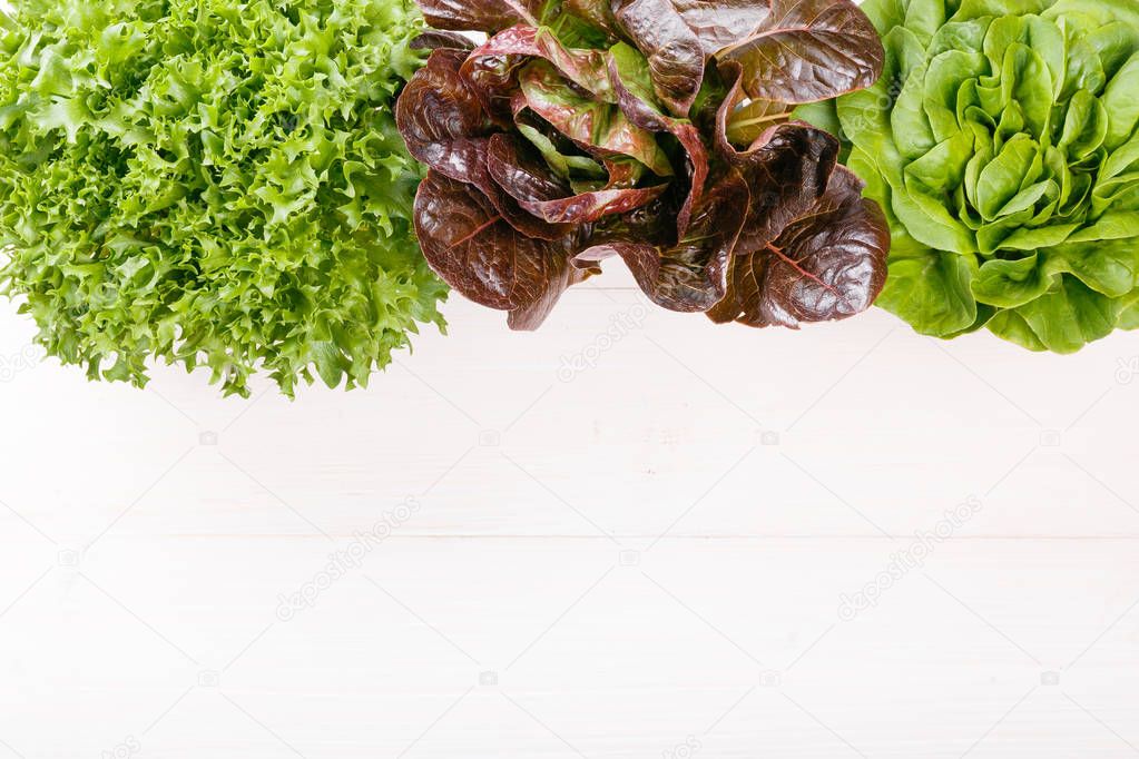Three kinds of lettuce