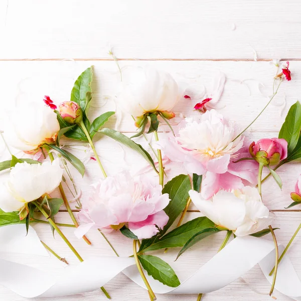 Delicada peonía rosa blanca con flores de pétalos y cinta blanca sobre tabla de madera. Vista superior, posición plana. Copiar espacio. Cumpleaños, Madres, San Valentín, Mujeres, concepto del día de la boda —  Fotos de Stock