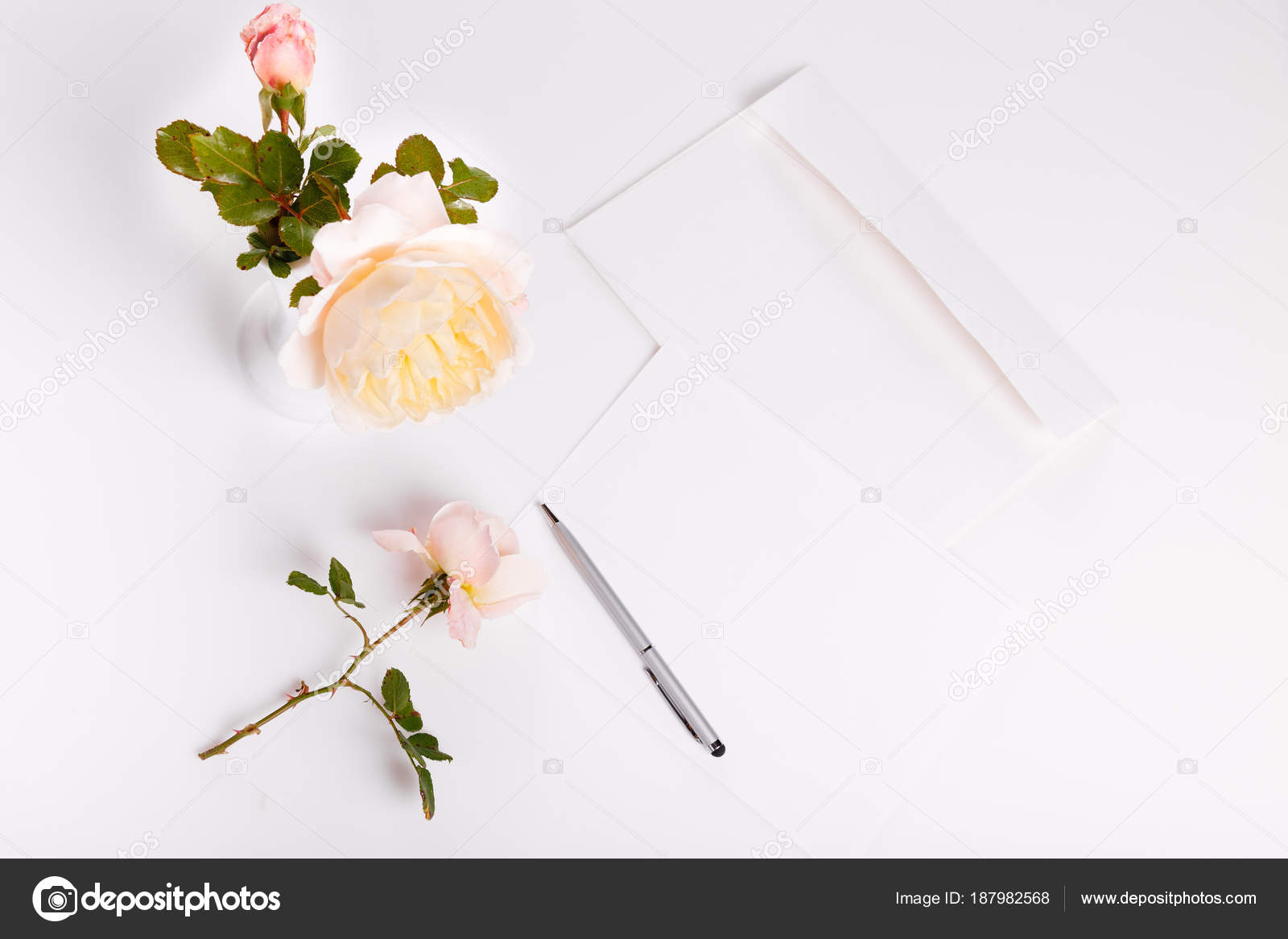 Letter Pen And White Envelope On White Background With Pink English Rose Invitation Cards Or Love Letter Birthday Mother S Valentines Women S Wedding Day Concept Stock Photo C Olga18x27