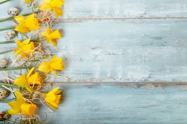 Jarní květinové hranice, krásné čerstvé narcisy květiny, izolované na bílém pozadí. Selektivní zaměření — Stock fotografie