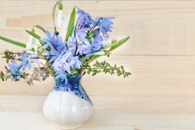 Grup bahar çiçekleri. kardelen beyaz zemin üzerine