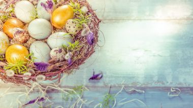 Paskalya yumurtaları ve bahar çiçekleriyle paskalya arkaplanı. Kopyalama alanı olan üst görünüm