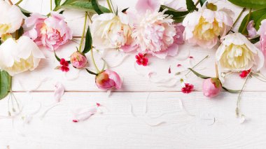 Yaprakları çiçek ve ahşap tahta üzerinde beyaz kurdele ile hassas beyaz pembe Şakayık. Ek yükü üstten görünüm, düz yatıyordu. Uzay kopyalayın. Doğum günü, anne, Sevgililer, kadın, düğün günü kavramı