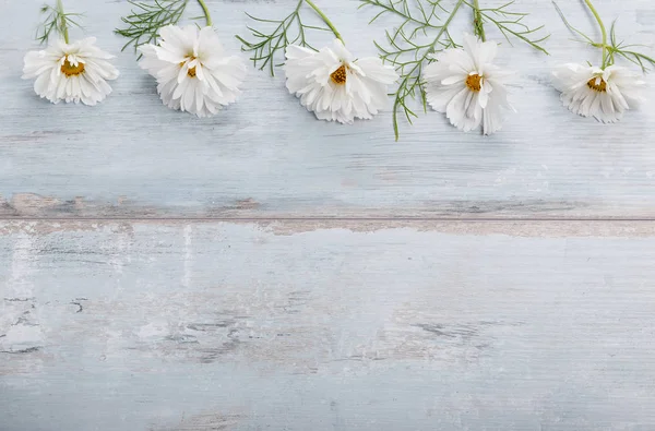 Un ramo de flores blancas cosmética o cosmos con cinta en tablas blancas. Flores amarillas jardín sobre fondo de mesa de madera hecha a mano. Fondo con espacio de copia . — Foto de Stock