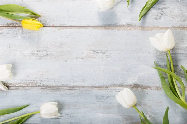 Composición de flores. Marco de flores blancas sobre fondo azul — Foto de Stock