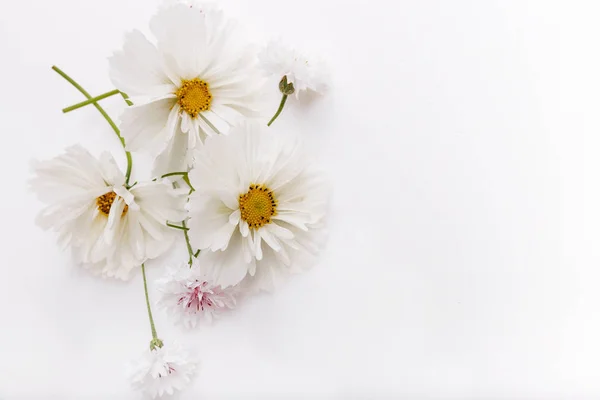 Komposition, Rahmen weiße Kosmetik, Kosmos Blumen auf weißem Hintergrund. Hintergrund mit Kopierraum, flache Lage. Muttertag, Geburtstag, Valentinstag, Frauentag, Hochzeitstag — Stockfoto