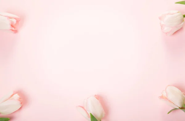 Složení květiny. Rám vyrobený z růžové květy na bílém pozadí. Valentinky den. Plochá ležel, horní pohled. — Stock fotografie