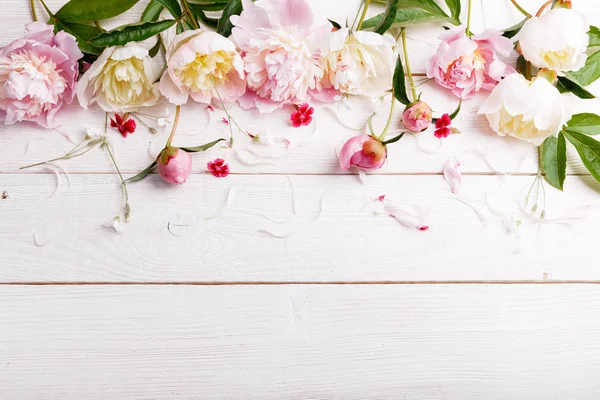 Delicada peonía rosa blanca con flores de pétalos y cinta blanca sobre tabla de madera. Vista superior, posición plana. Copiar espacio. Cumpleaños, Madres, San Valentín, Mujeres, concepto del día de la boda — Foto de Stock