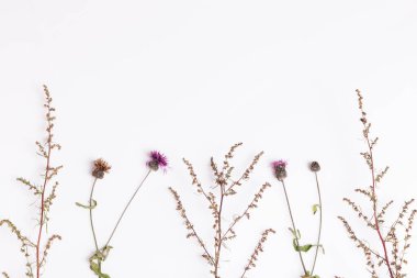 Üç kuru çiçek seti, ıssız..