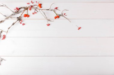 Noel, Yeni Yıl veya Sonbahar arkaplanı, Noel doğal süsleri ve köknar dalları, böğürtlen, gül kalçası ve kış dallarının düz kompozisyonu