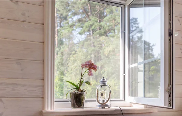 Jest to białe okno z moskitierą w rustykalnym drewnianym domu z widokiem na ogród. Orchidea Phalaenopsis na parapecie — Zdjęcie stockowe