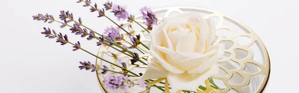 Romantický prapor, jemné bílé růže květiny zblízka. Vonné krémově růžové okvětní lístky — Stock fotografie