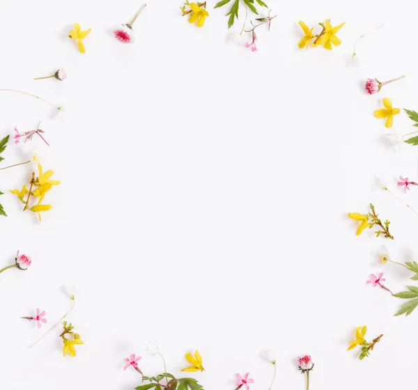 Primavera pequeñas flores amarillas rosadas, margarita aislada sobre fondo blanco, marco . — Foto de Stock
