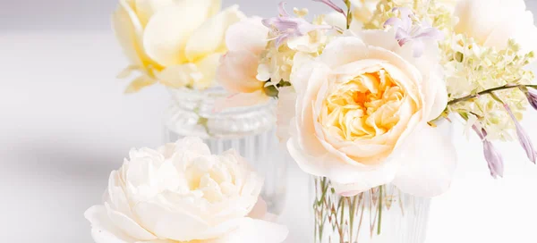 Bandera romántica, delicadas rosas blancas flores de cerca. Crema fragante pétalos rosados —  Fotos de Stock