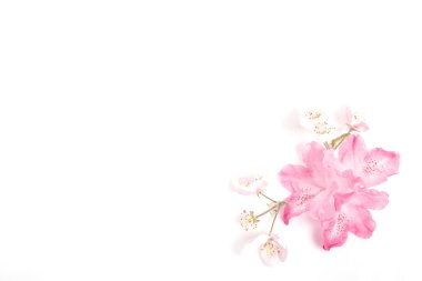 Beyaz ahşap arka planda şenlikli çiçek kompozisyonu. Genel Görünüm