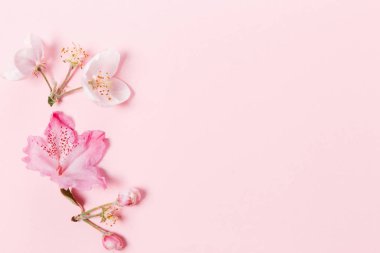 Pembe arka planda şenlikli çiçek kompozisyonu. Genel Görünüm