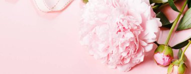 Romantik pankart, narin beyaz şakayık çiçekleri. Güzel kokulu pembe yapraklar.