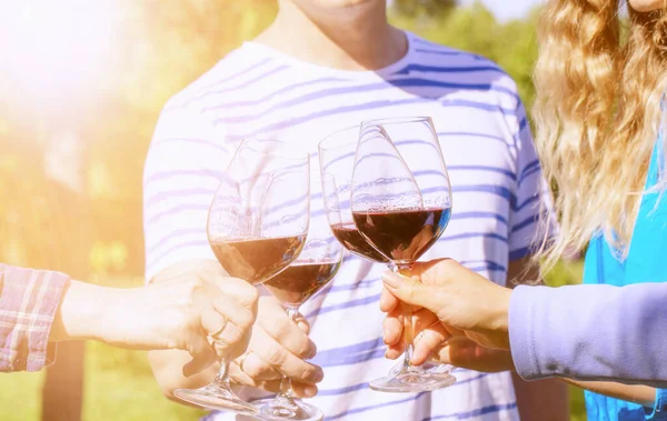 Family of different ages people cheerfully celebrate outdoors with glasses of red wine, proclaim toast