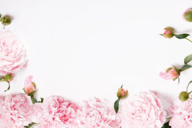 Romantik pankart, narin beyaz şakayık çiçekleri. Güzel kokulu pembe yapraklar.