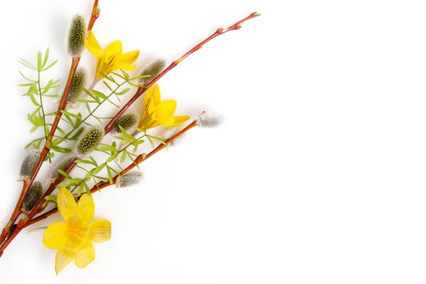 Húsvéti háttér húsvéti tojásokkal és tavaszi virágokkal. Felülnézet másolási hellyel — Stock Fotó