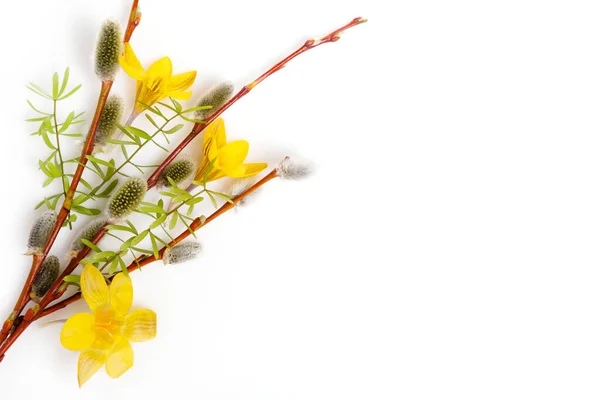 Påsk bakgrund med påskägg och vårblommor. Ovanifrån med kopieringsutrymme — Stockfoto