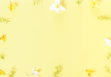 Sarı zemin üzerine beyaz çiçekler. Çiçek açan kavramı. Düz yatıyordu.