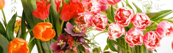Bouquets lumineux de tulipes, composition printanière festive sur fond blanc — Photo