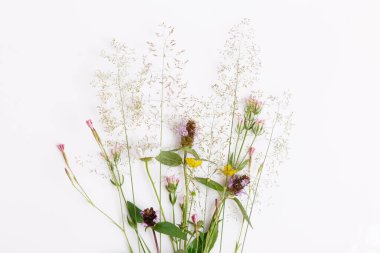 Çiçek desenli kır çiçekleri, yeşil yapraklar, beyaz arka planda dallar. Düz yatış, üst görünüm.