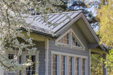 Büyük pencereli güzel ahşap bir ev, bir vitrin ve çiçek açan bahar ağaçlarının arka planında bir teras.