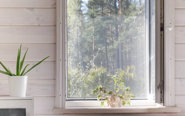 Weißes Fenster mit Moskitonetz in einem rustikalen Holzhaus mit Blick auf den Garten. — Stockfoto