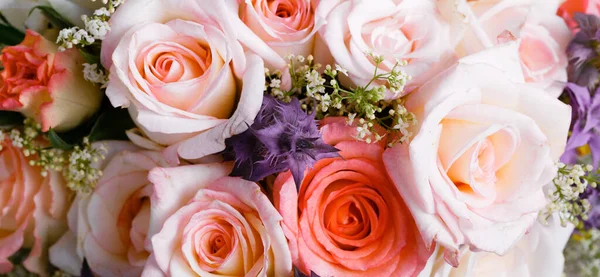 Romantic background, delicate cream pink roses flowers close-up. — Stock Photo, Image