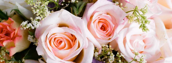 Romantic background, delicate cream pink roses flowers close-up. — Stock Photo, Image